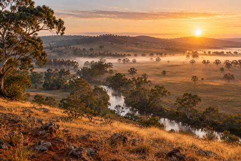 Early morning mist over rolling farmland and a creek lined with gum trees