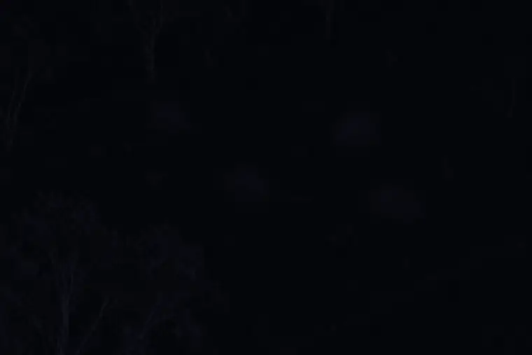 The same paddock to the naked eye: almost completely dark, the animals cannot be seen